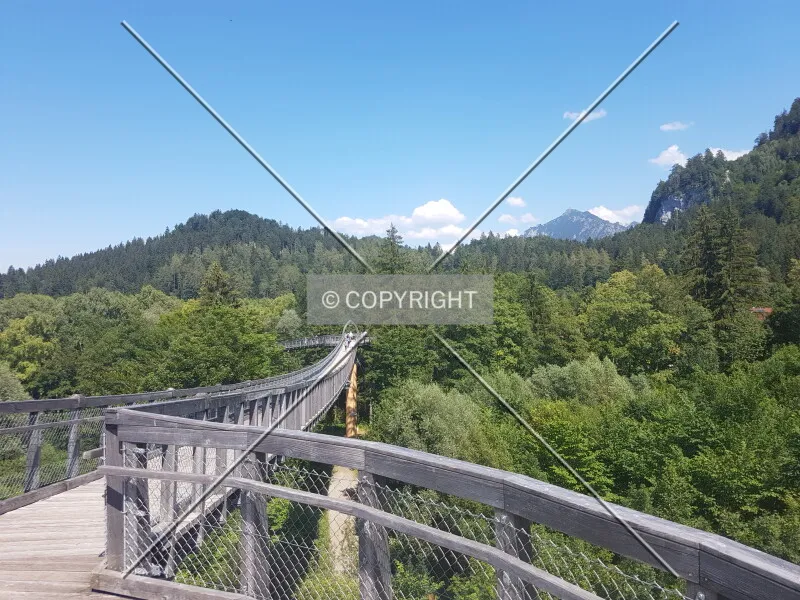 Photo 271-707-411