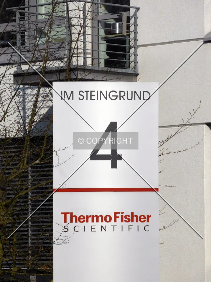 Street name and house number