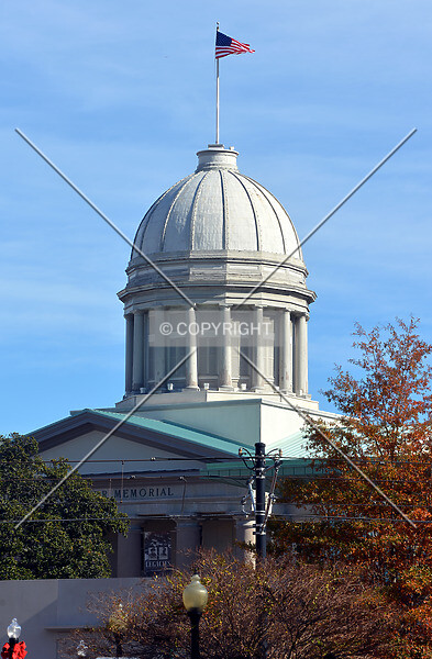 Photo 271-881-824