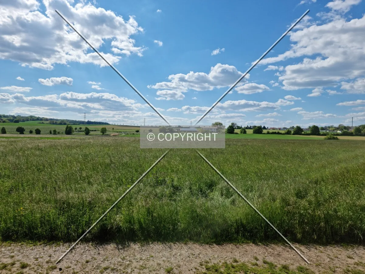 Photo 272-072-649