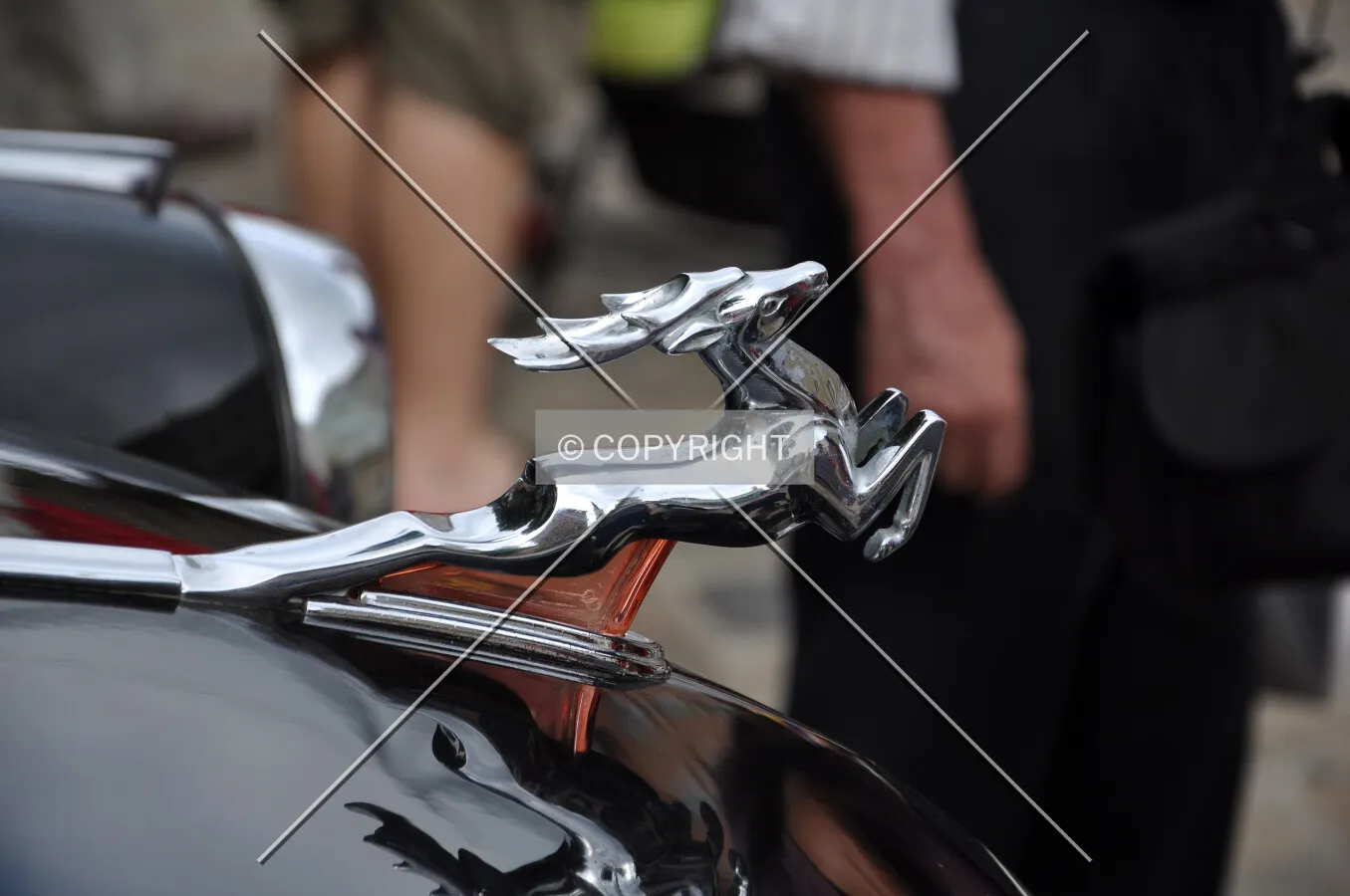 Hood sculpture