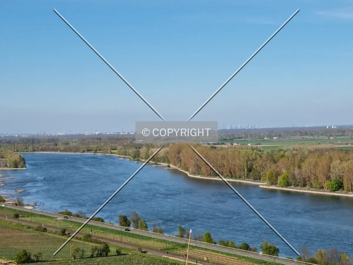 Photo 272-331-873