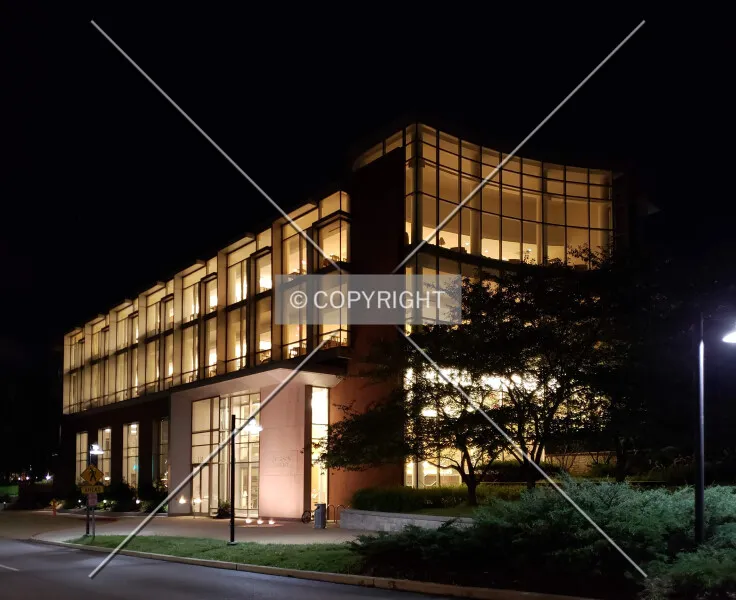 Photo 272-427-228