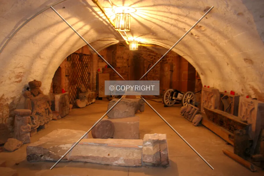 Photo 272-498-743