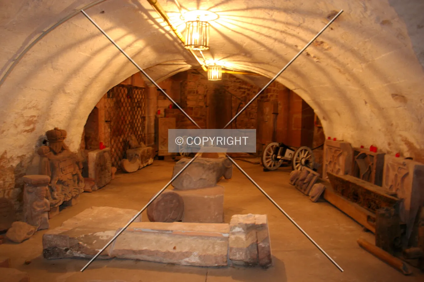 Photo 272-498-743