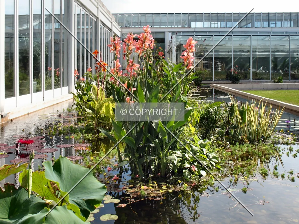 Water garden north of the entrance