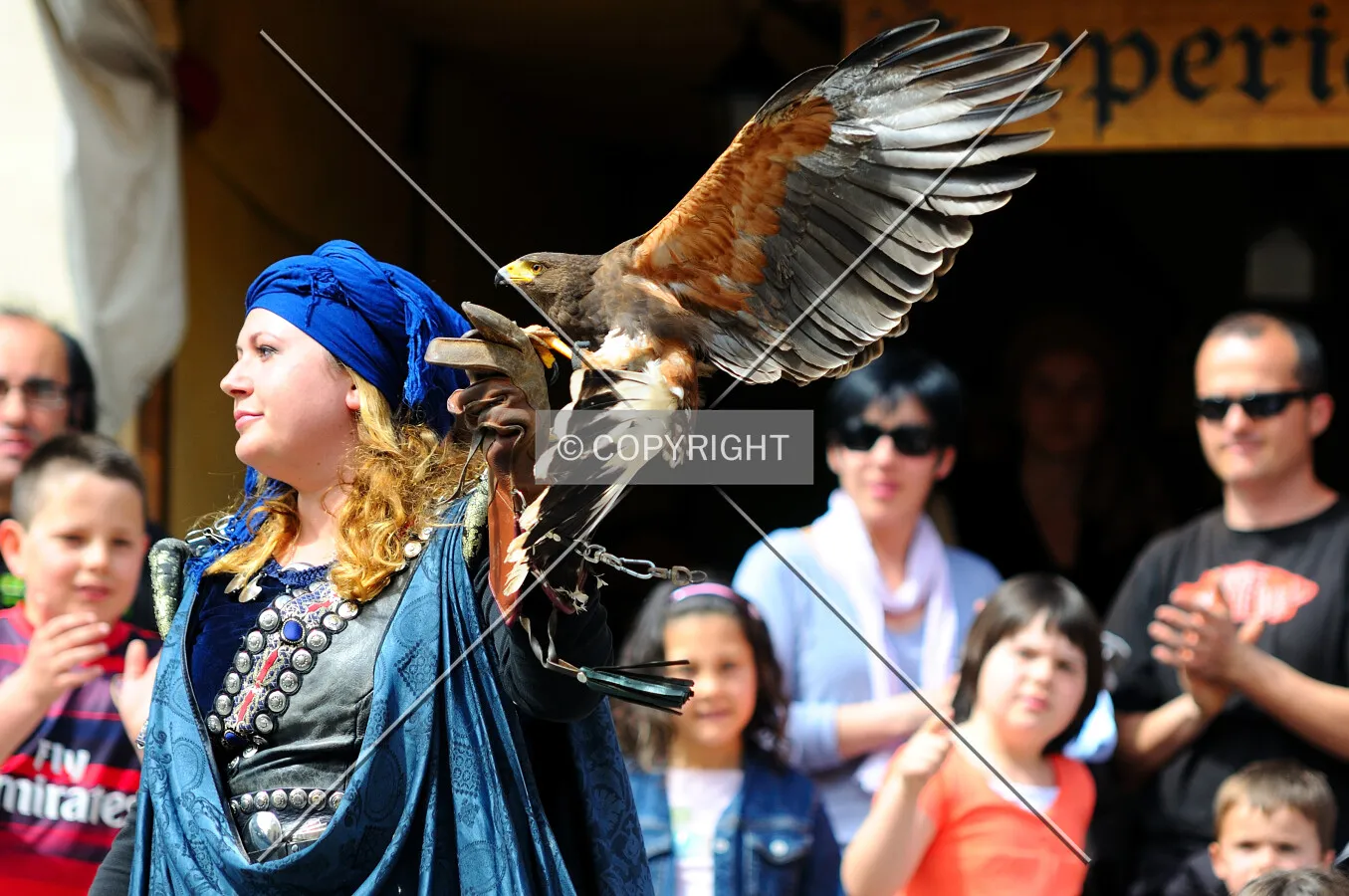 Eagle landing on it's owner arm