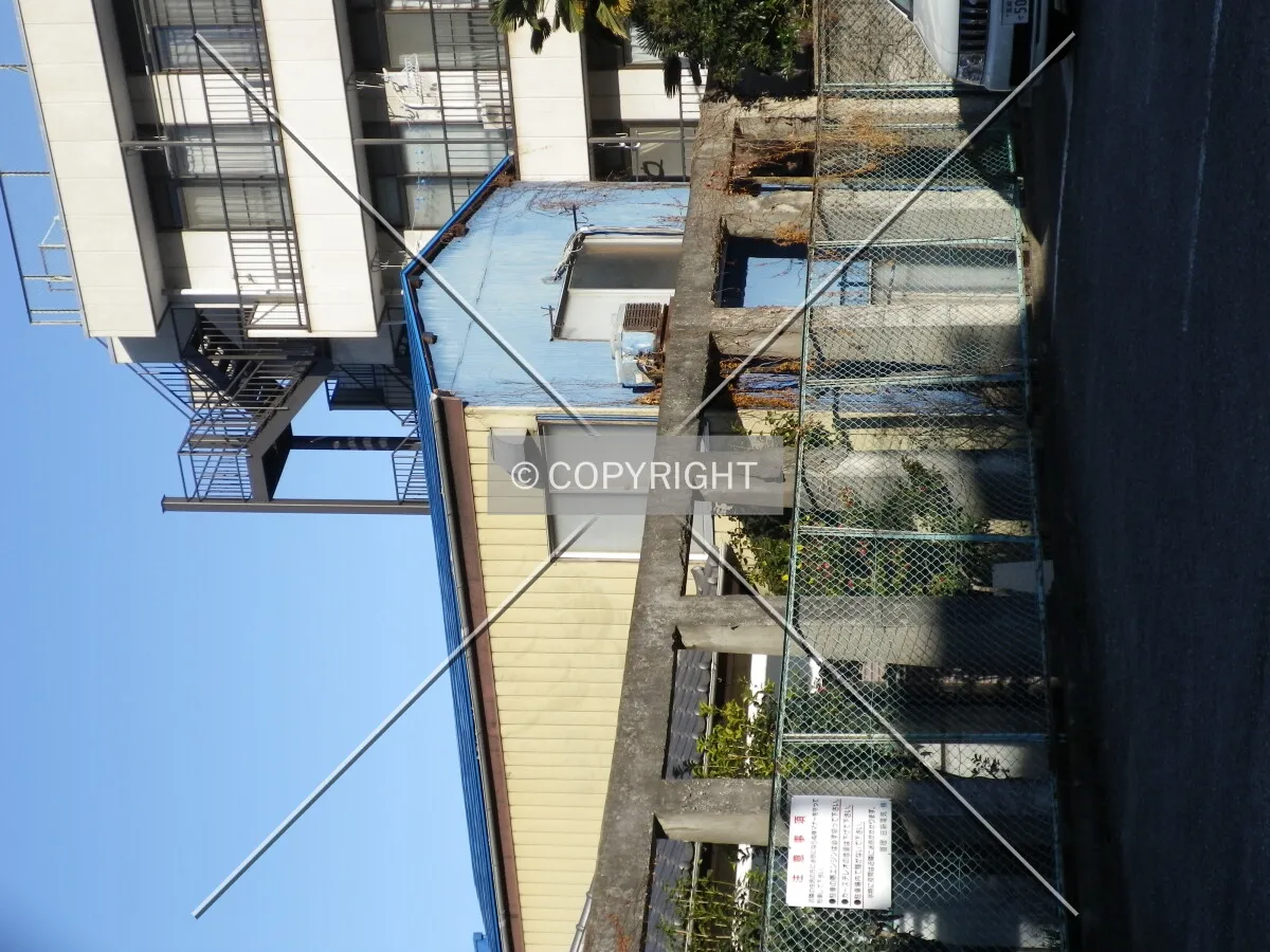 Photo 272-892-836