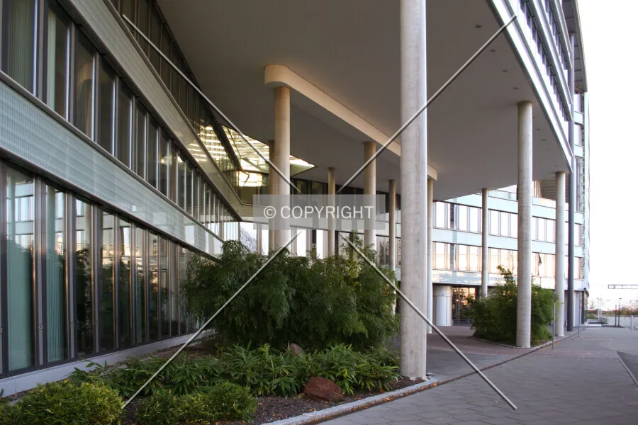 Photo 272-965-273