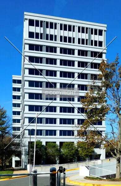 Photo 273-015-916