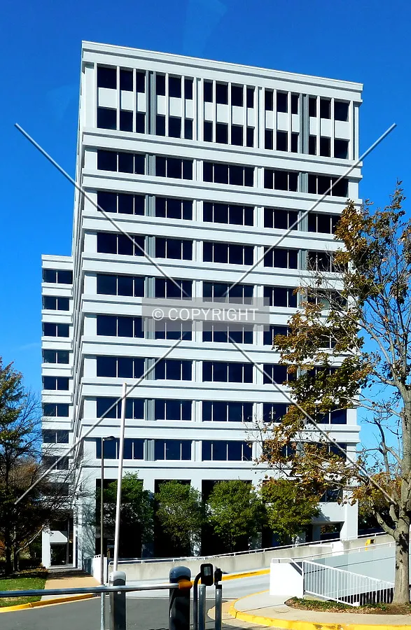 Eastern profile