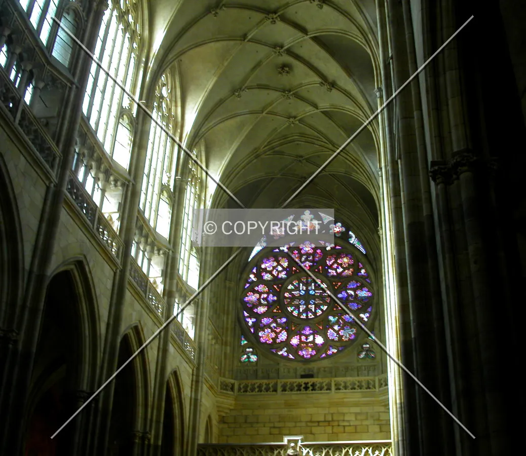 Looking up into the cathedral