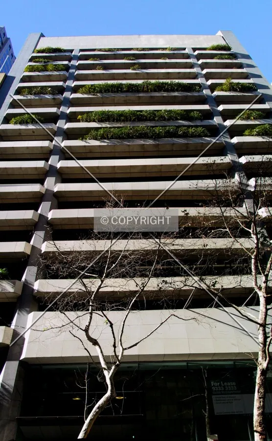 Looking up from Spring Street