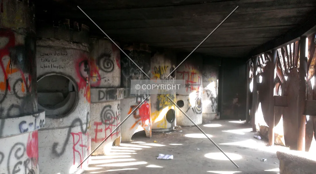 Photo 273-108-136