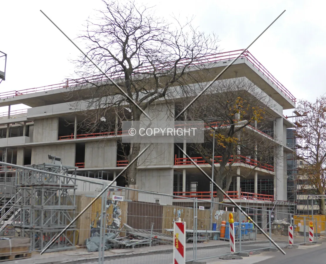 Photo 273-141-065