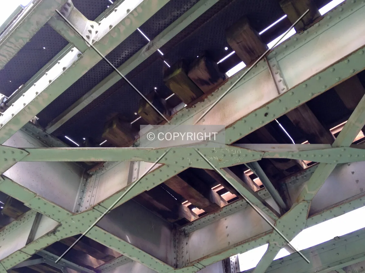 Photo 273-158-362