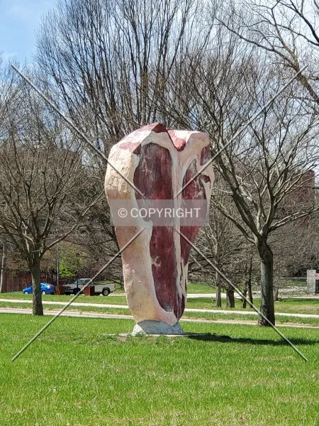 Photo 273-204-845