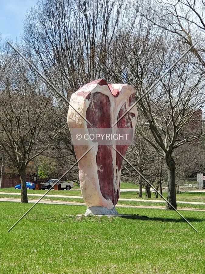 Northeast view; March 30, 2020
