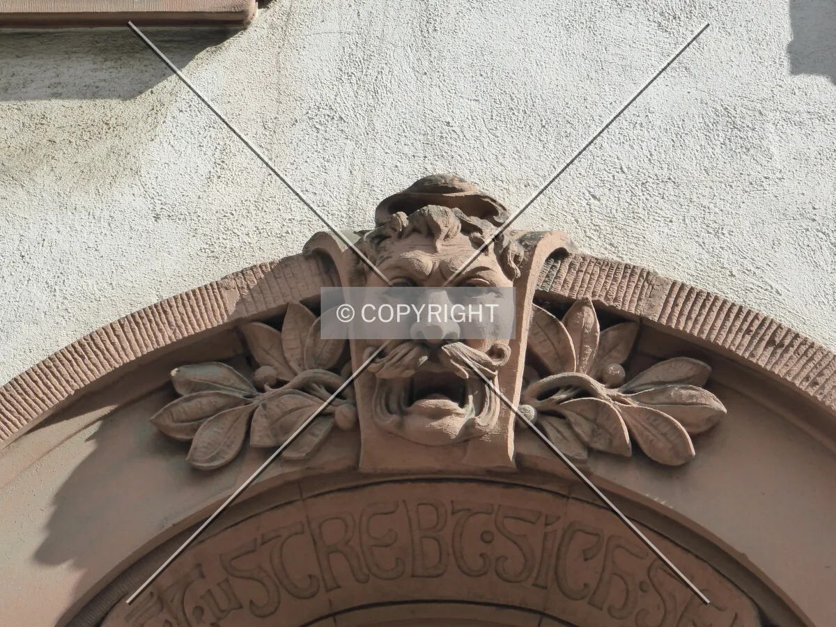 Photo 273-263-333
