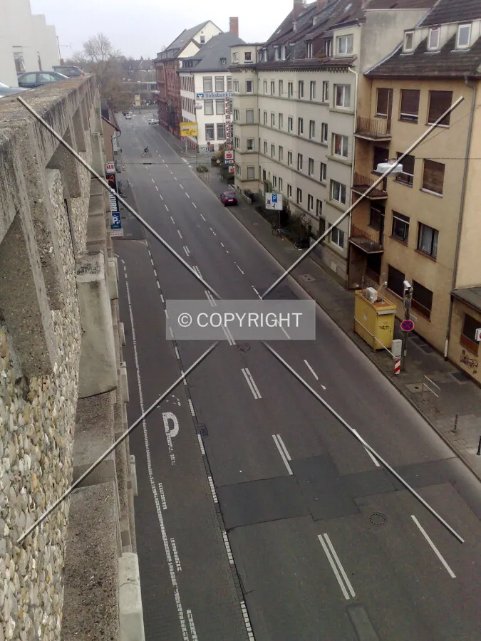 Photo 273-462-559