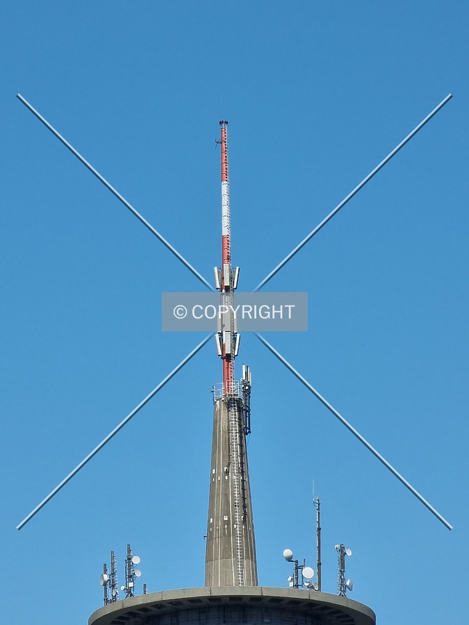 Photo 273-473-823