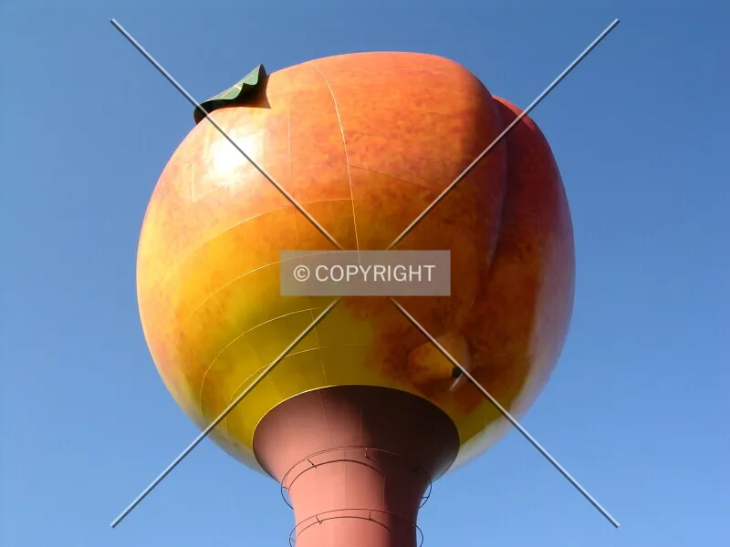 Photo 273-553-845