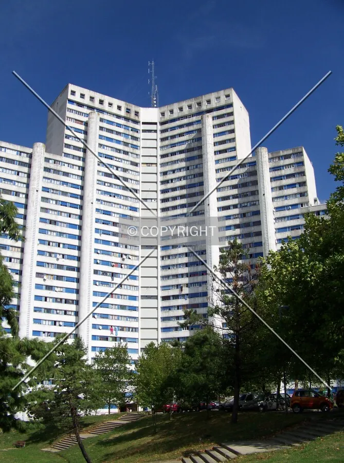 The south side