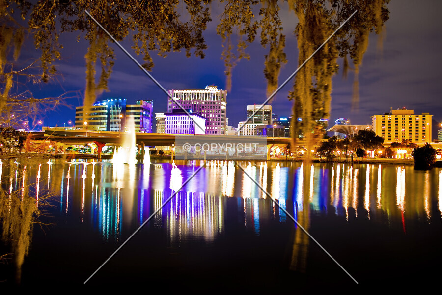 Photo 273-838-770