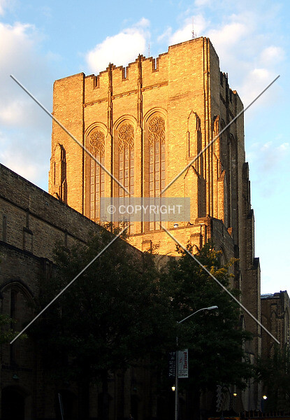Photo 273-961-010