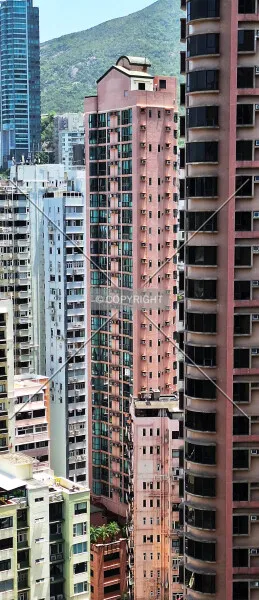 Photo 274-012-792