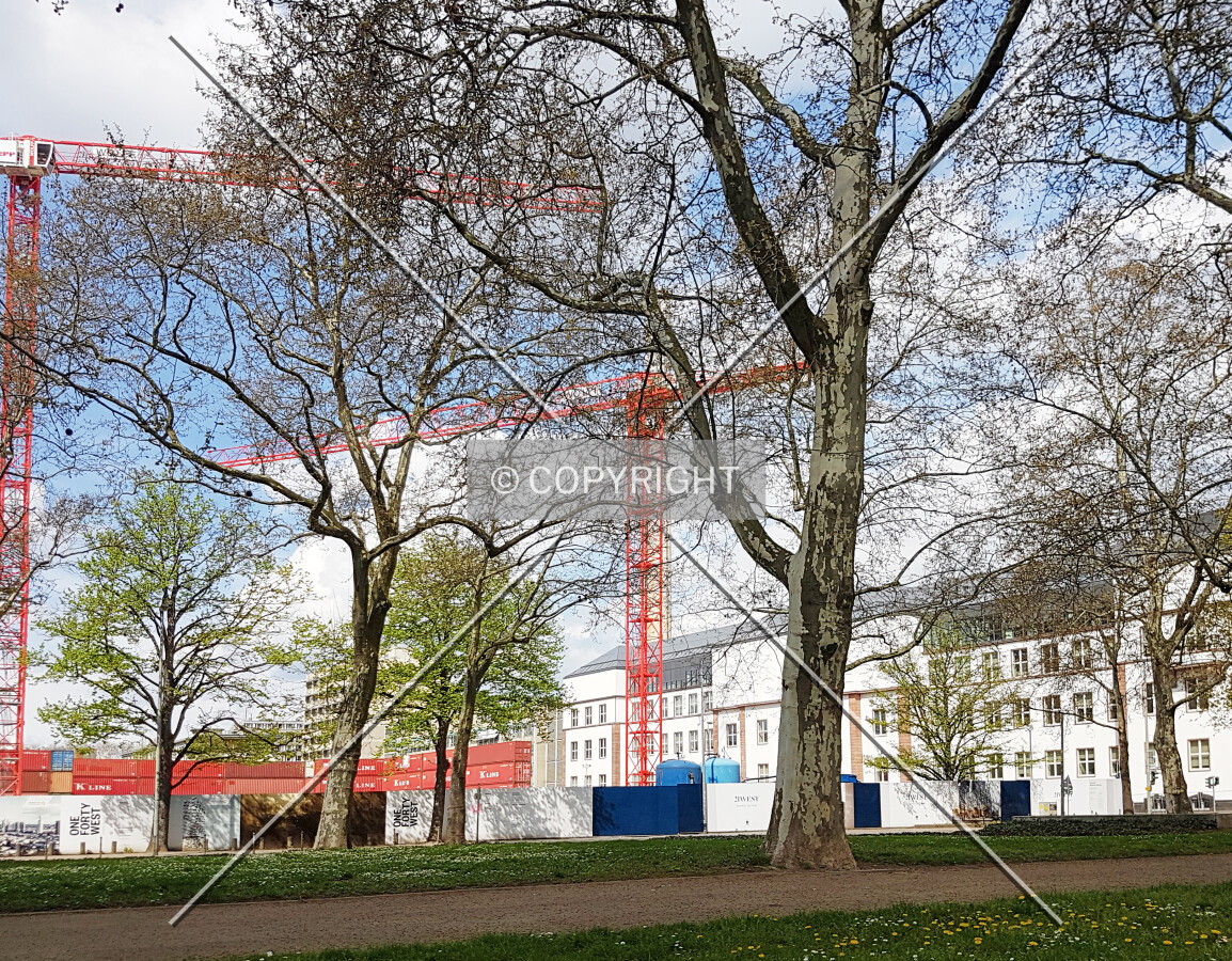 Photo 274-020-401