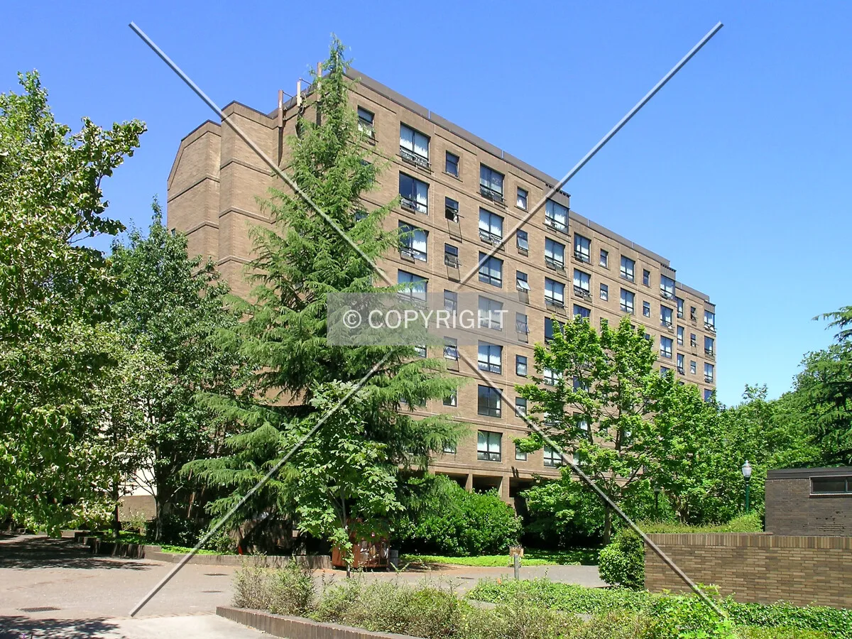 Northwestern view