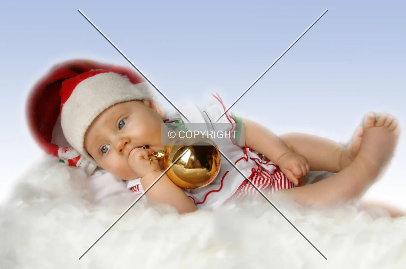 Photo 274-205-450