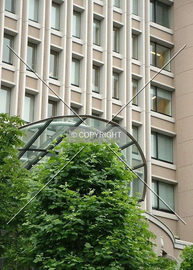 Entrance and plants