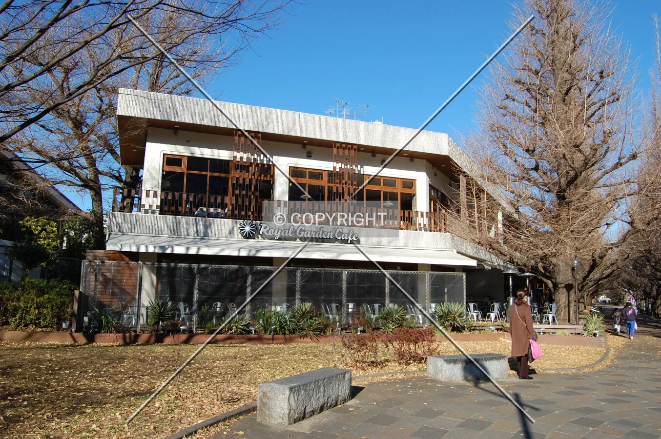 Photo 274-236-333