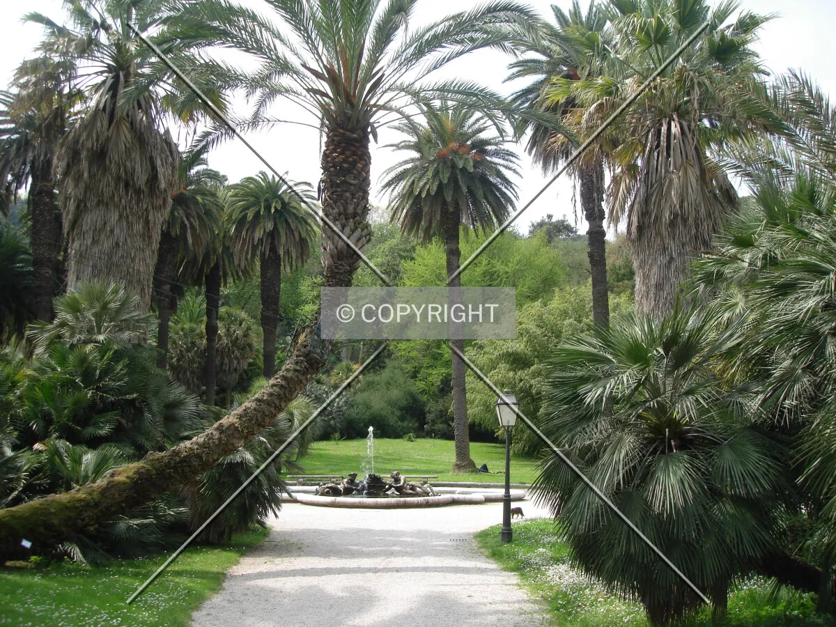 Photo 274-525-469