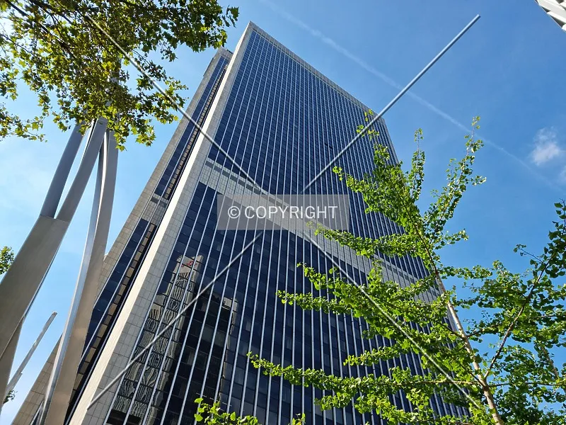 Photo 274-665-769