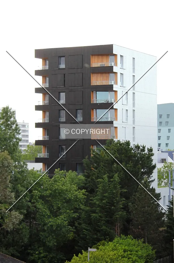 The south face.