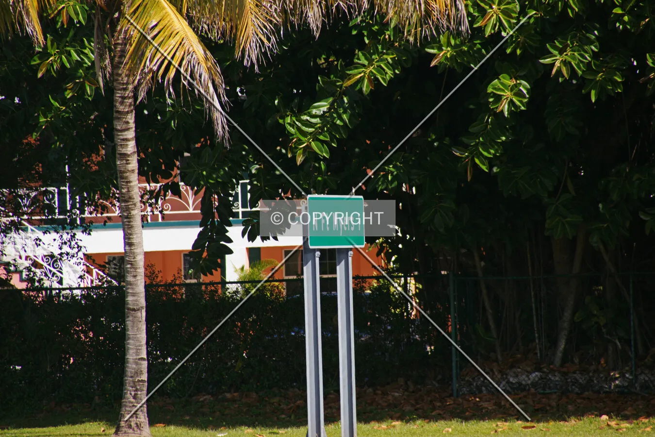 Photo 275-172-648