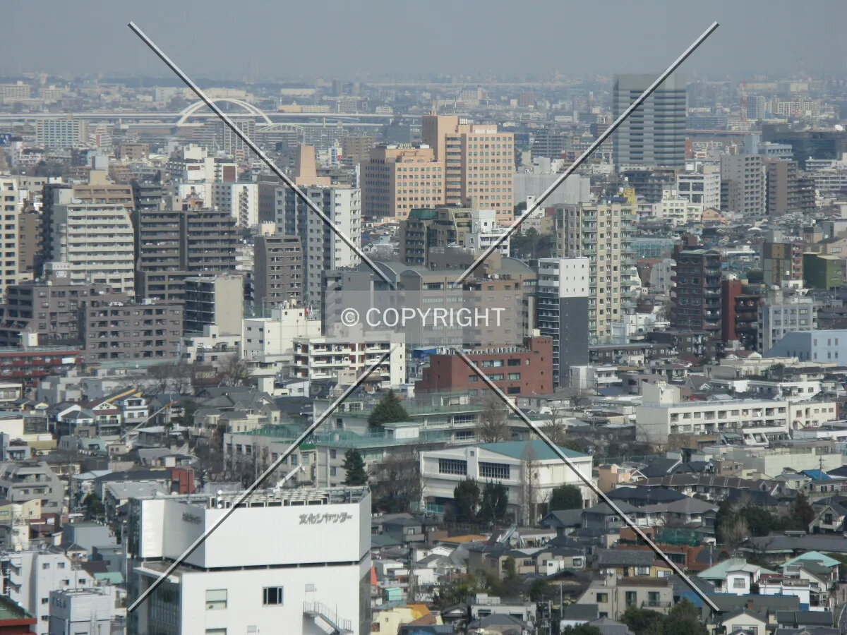 Photo 275-291-244