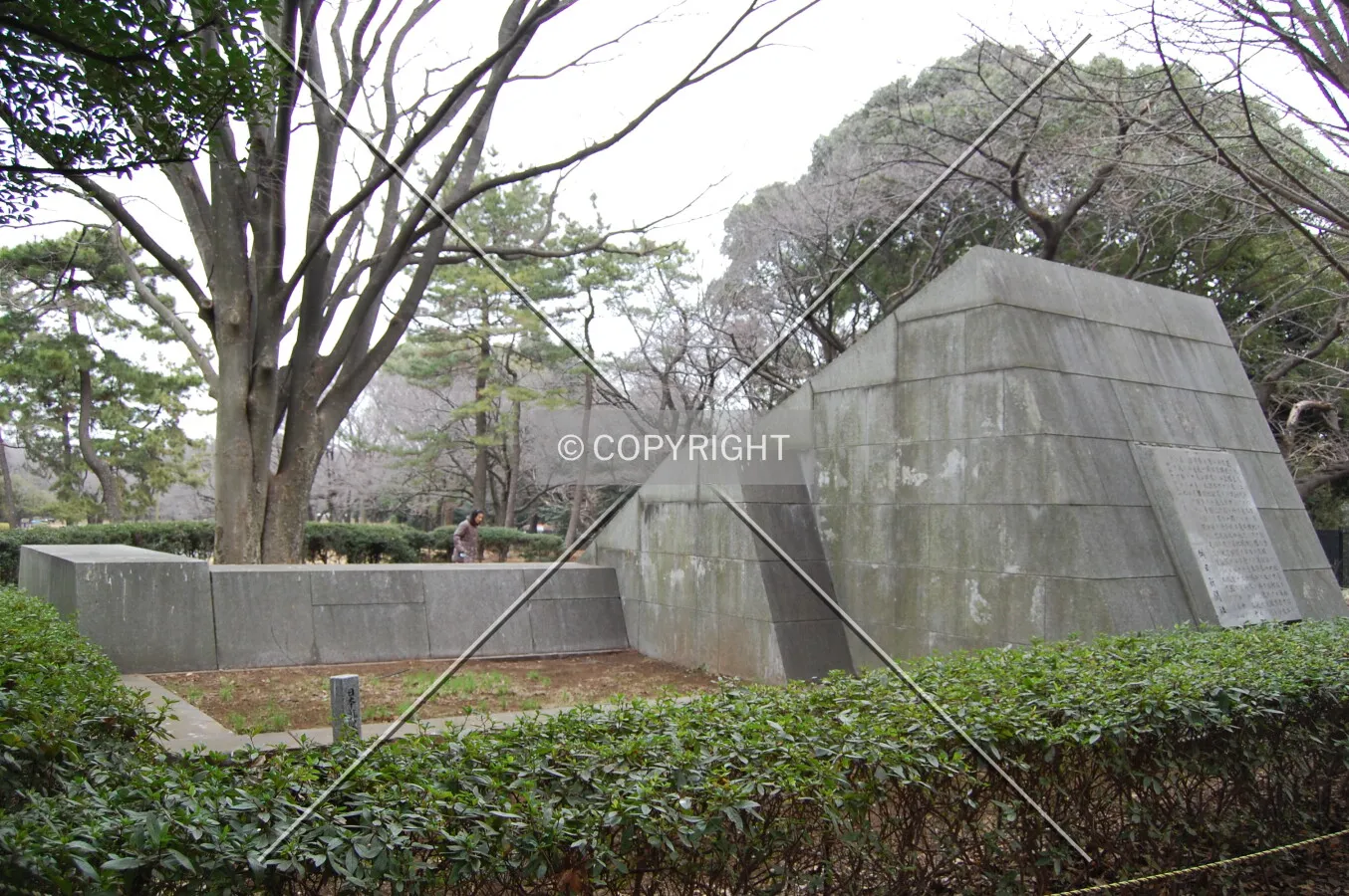Photo 275-362-557