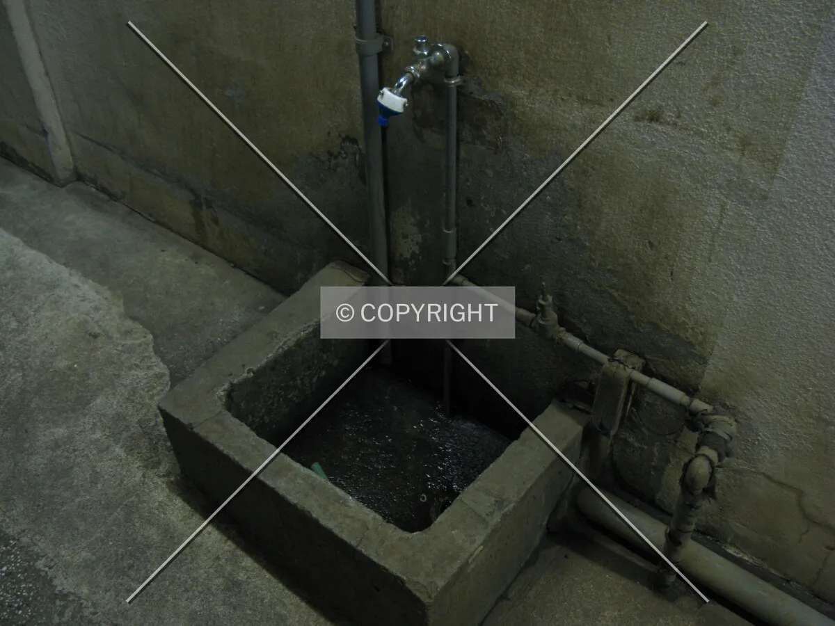 Photo 275-432-220
