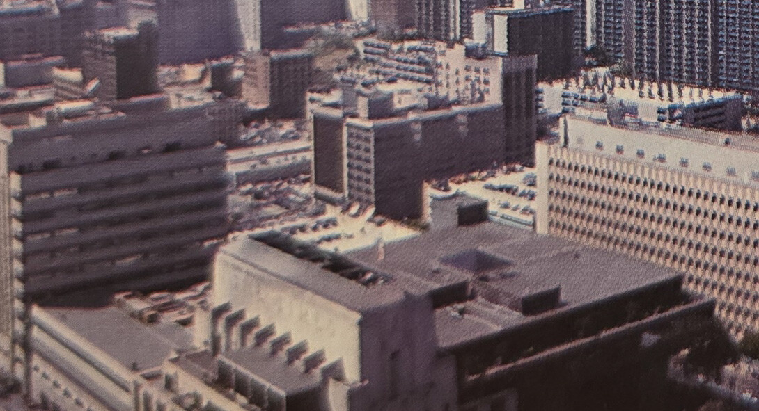 Vintage view of the roof
