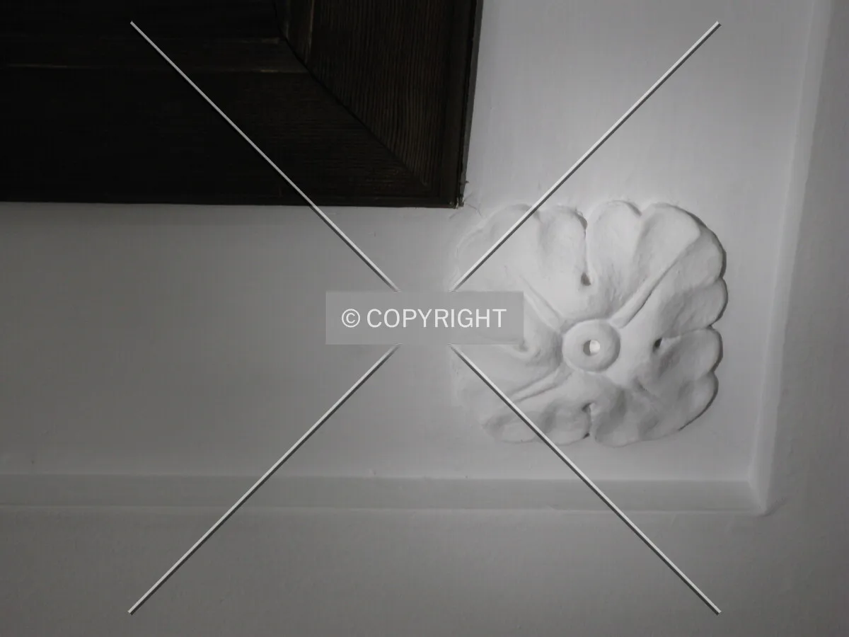 Photo 275-649-552