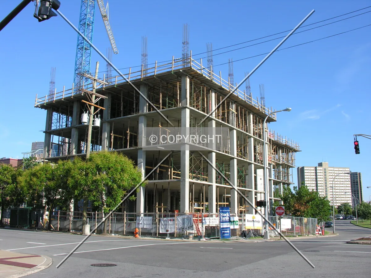 View from the north