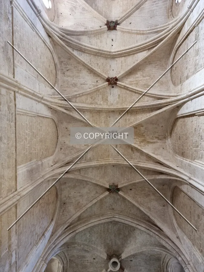 Photo 275-948-959