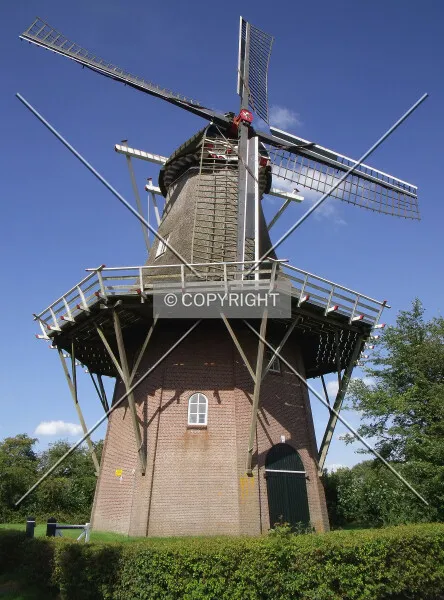Photo 276-166-874