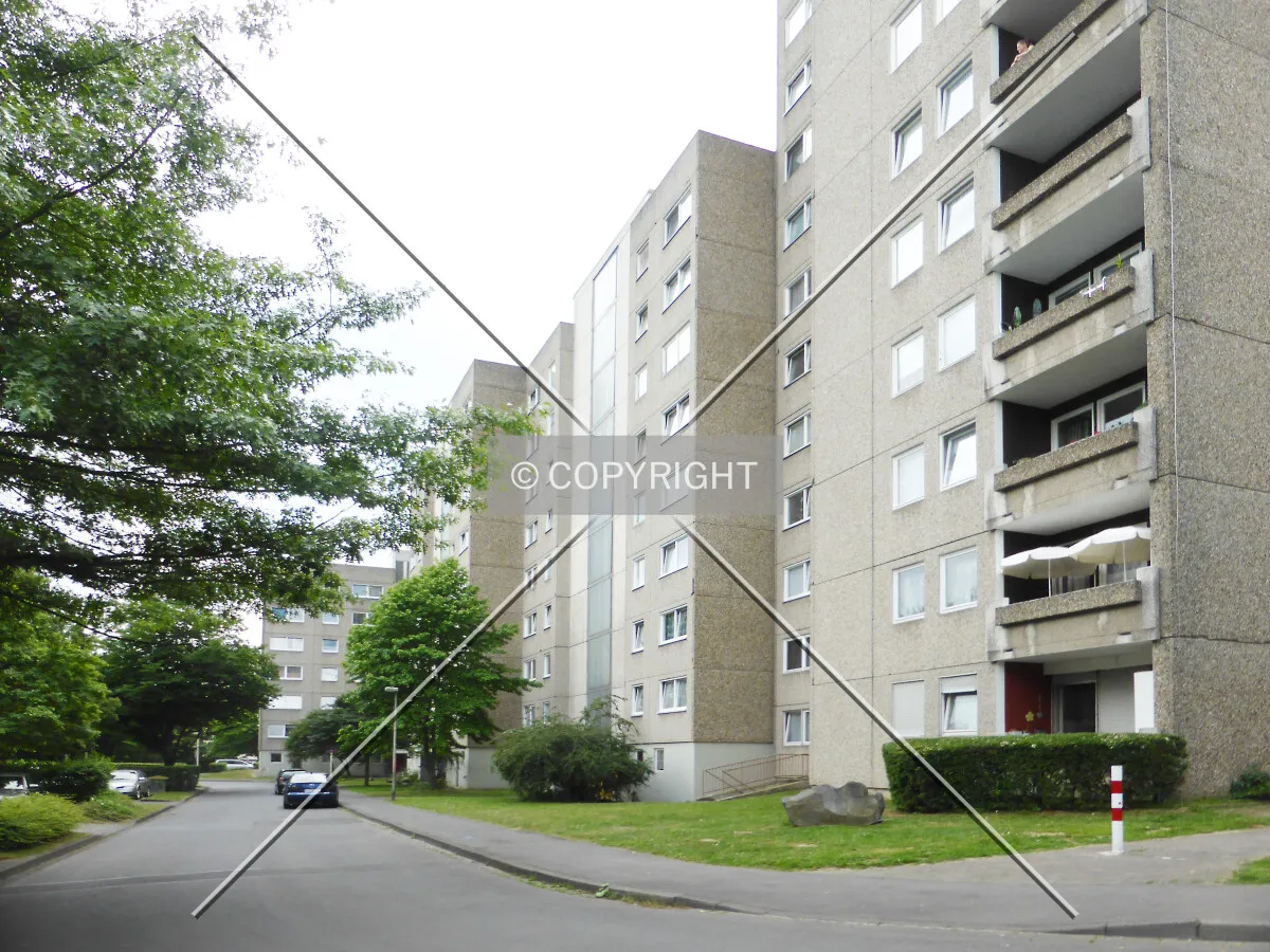 Photo 276-217-172