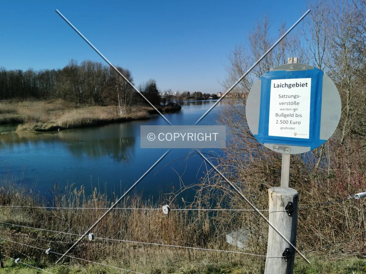 Photo 276-395-637