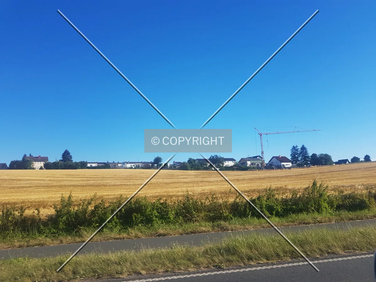 Photo 276-765-339